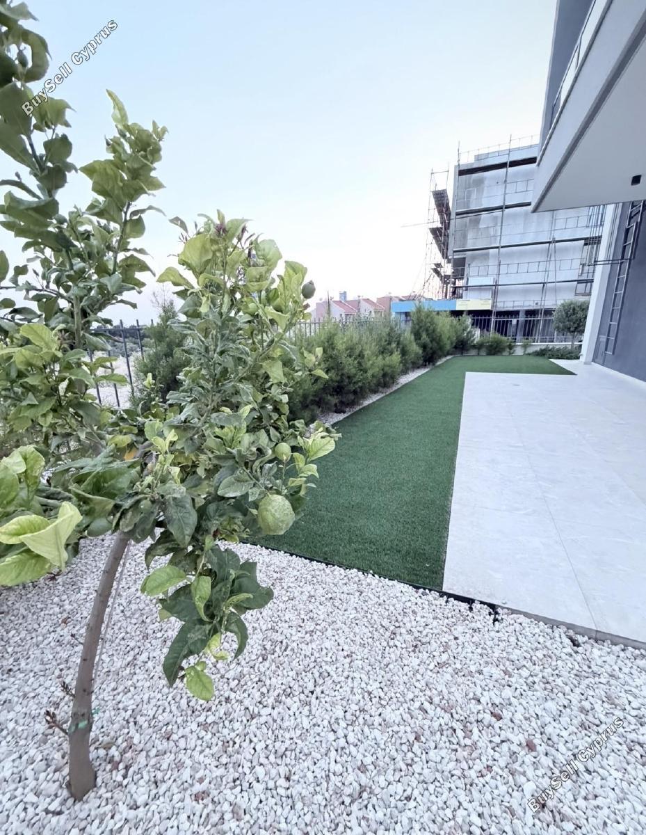 2 bedroom detached house for rent agios tychonas limassol 8621000 image 15831598