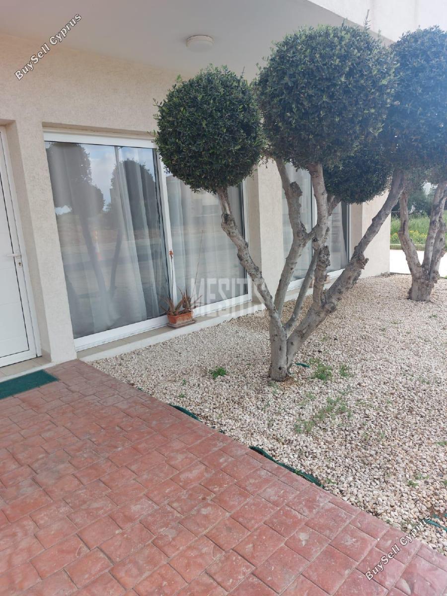 1 bedroom apartment for rent trachoni lemesou limassol 1709100 image 16339819