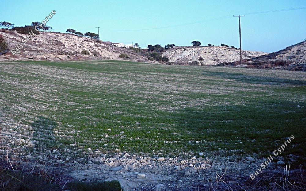 land for sale mazotos larnaca 831200 image 1332208
