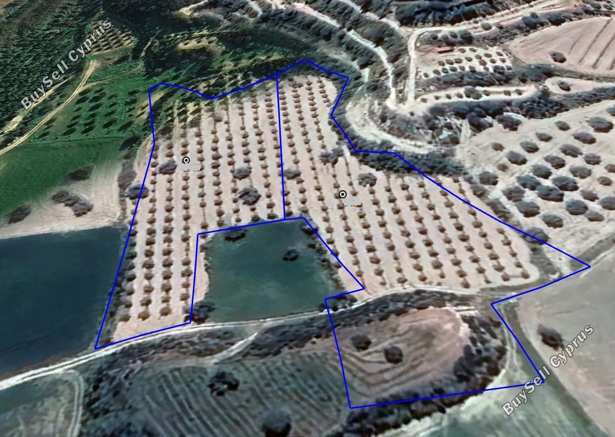 land for sale alaminos larnaca 7980300 image 11620297
