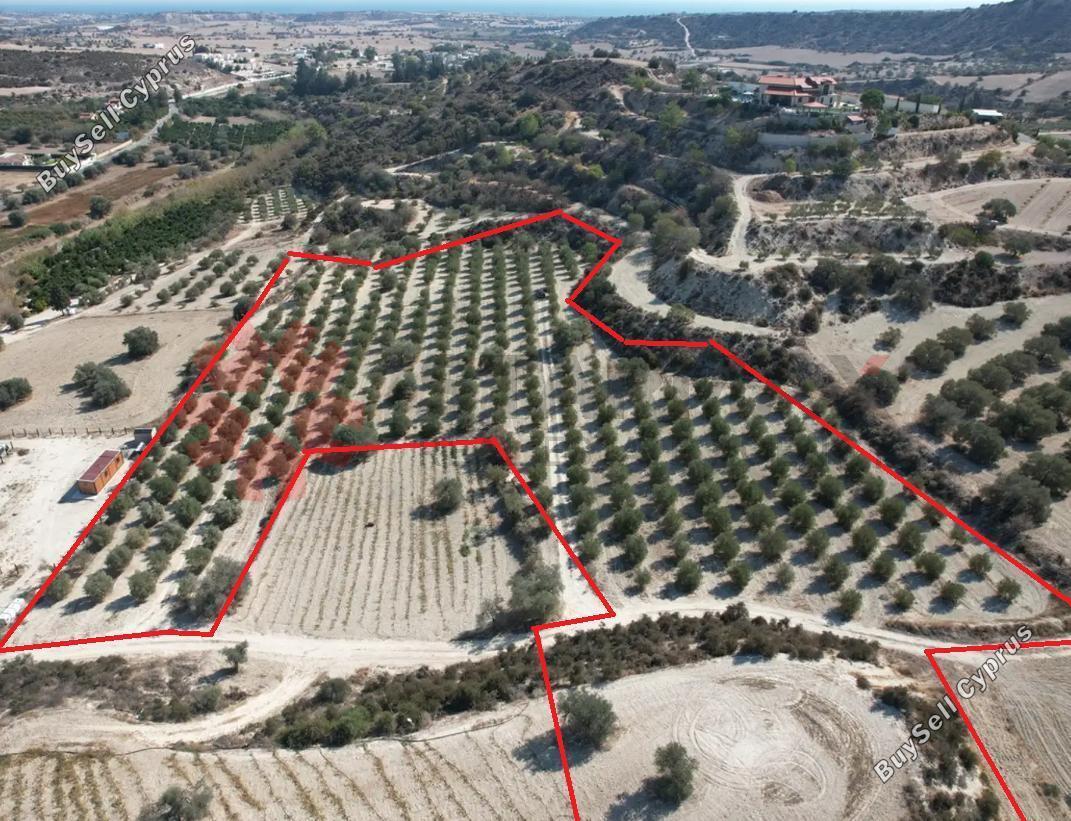 land for sale alaminos larnaca 7980300 image 11620302