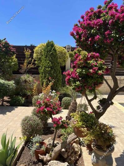 3 bedroom semi detached house for sale agios spyridonas limassol 1861500 image 6810097