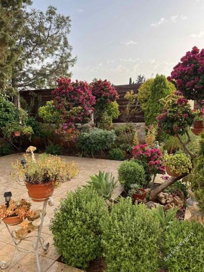 3 bedroom semi detached house for sale agios spyridonas limassol 1861500 image 6810098