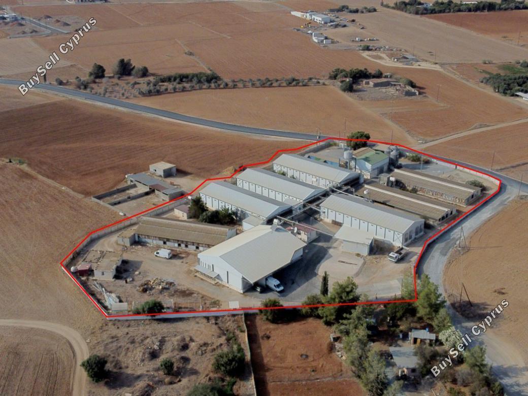 land for sale xylotymvou larnaca 839500 image 2902978