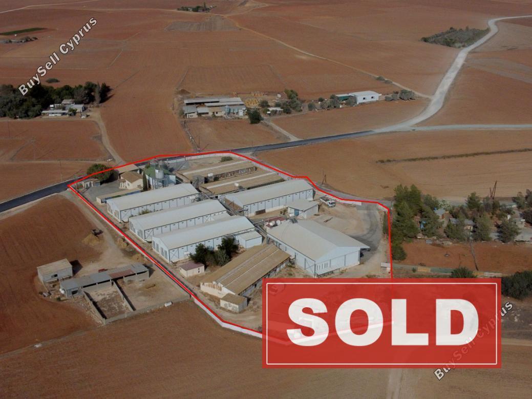 land sold xylotymvou larnaca 839500 image 2902982