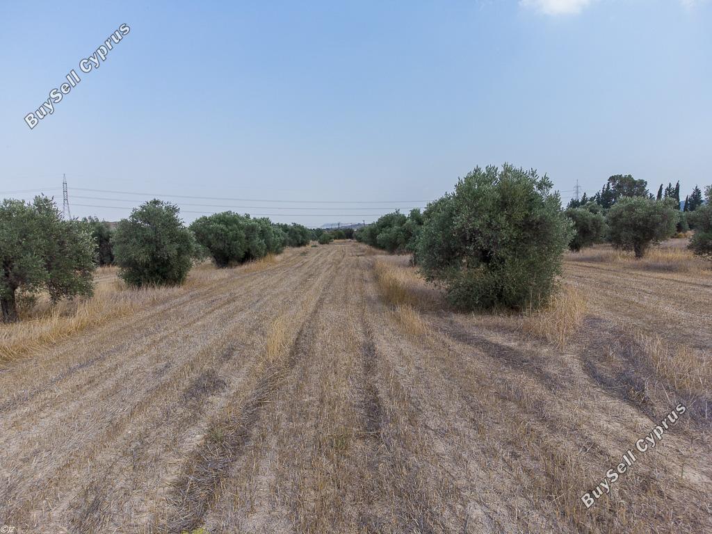 land for sale dali nicosia 933600 image 15602463
