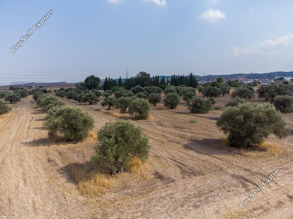 land for sale dali nicosia 933600 image 15602466