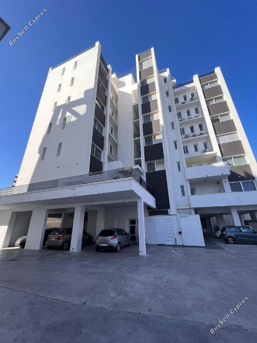 1 bedroom apartment for rent larnaca municipality larnaca 8785700 image 16656603