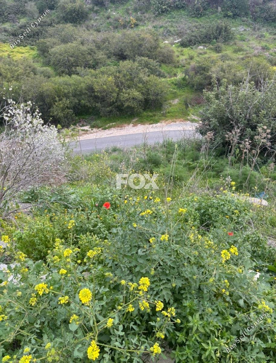 land for sale peyia paphos 7697700 image 14933944