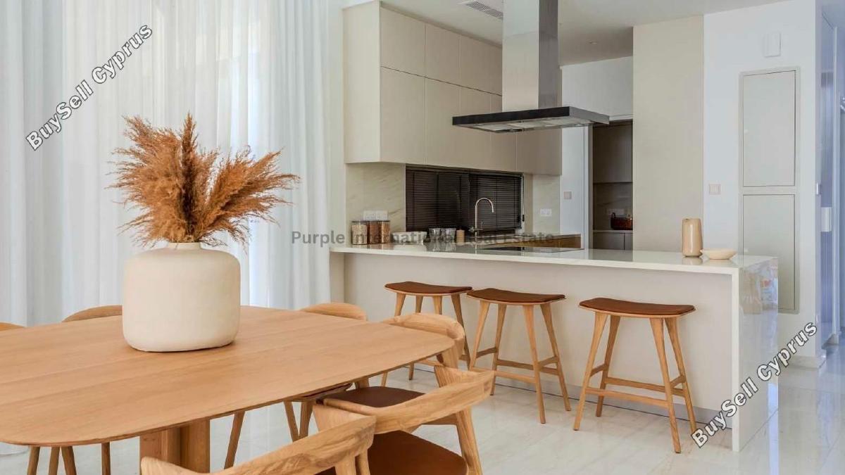 5 bedroom detached house for sale kissonerga paphos 8151800 image 14763912