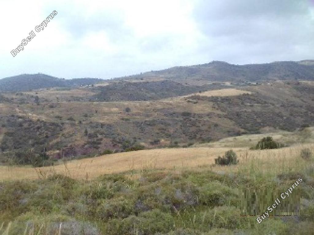 land for sale ineia paphos 8433900 image 15594905