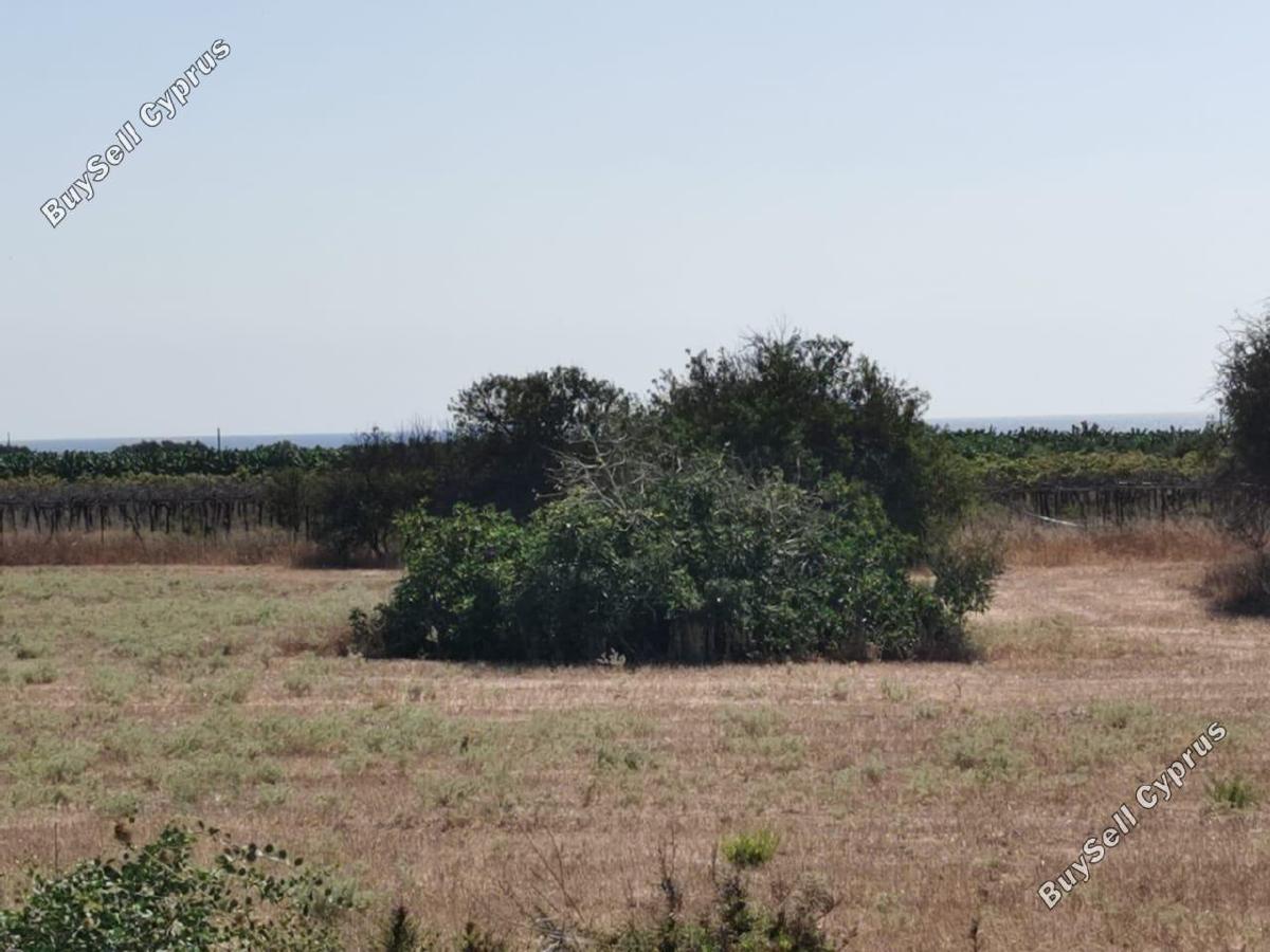 land for sale sea caves peyia paphos 1684900 image 4406949