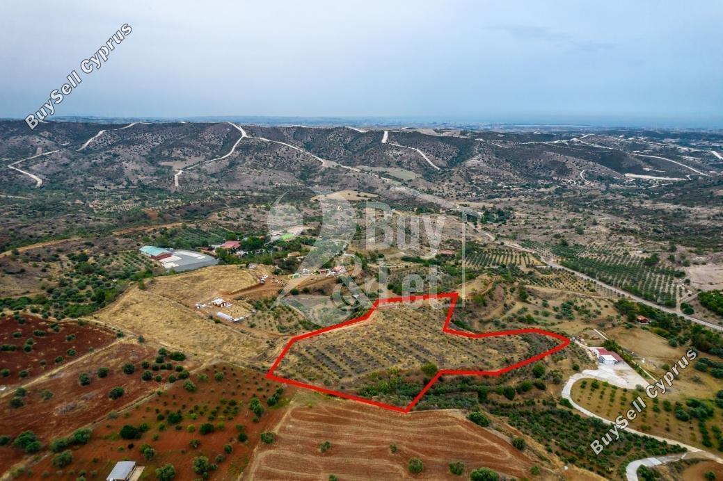 plot off market anglisides larnaca 1444900 image 5110612