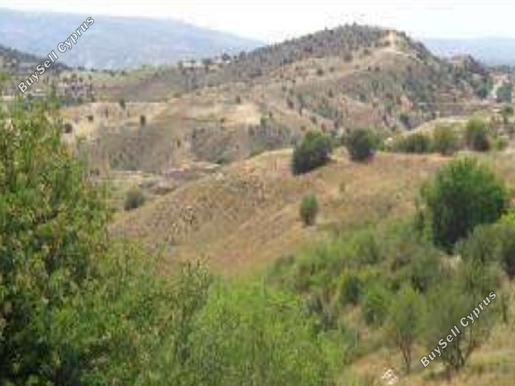 4683 SQM Land for sale in Statos Agios Fotios, Paphos 15600219