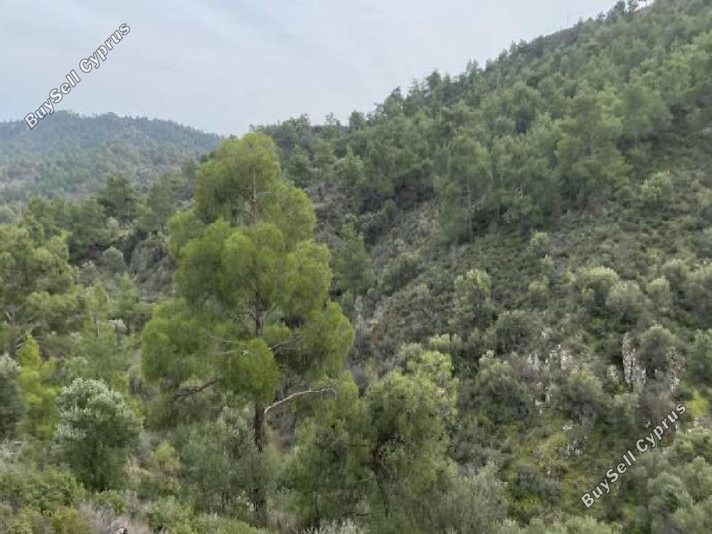 land for sale lythrodontas nicosia 946010 image 2996443