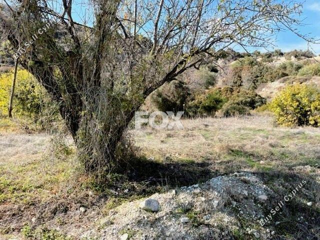 land for sale mathikoloni limassol 1236010 image 5577627
