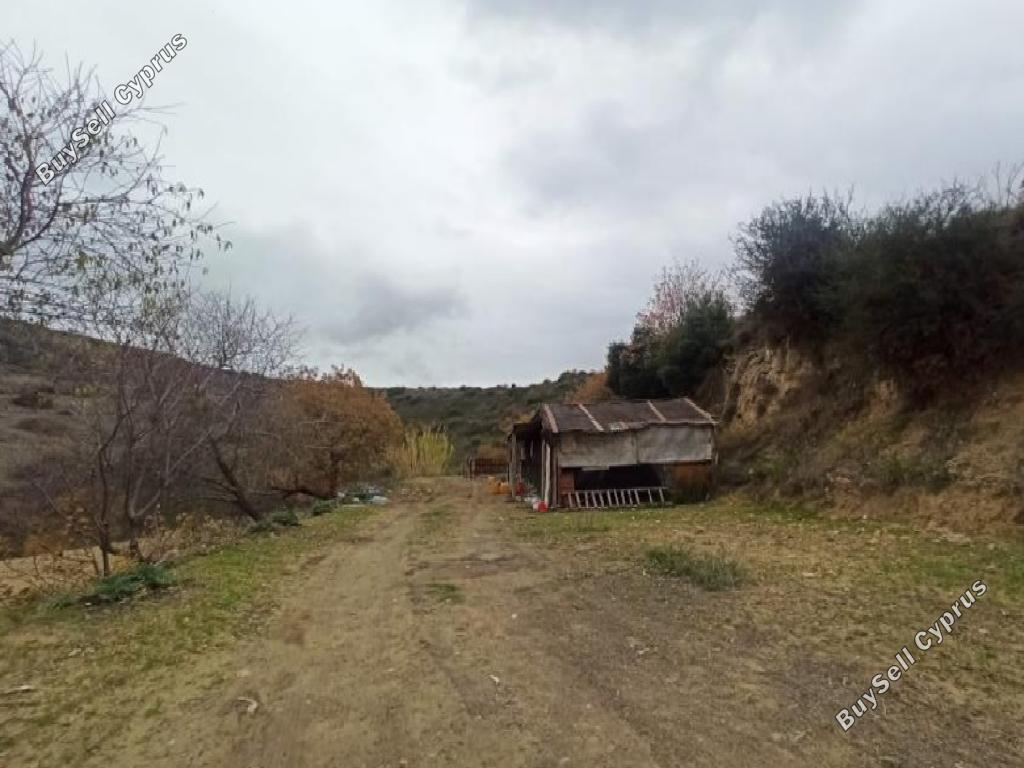 land off market agios dimitrianos paphos 8665010 image 17011325