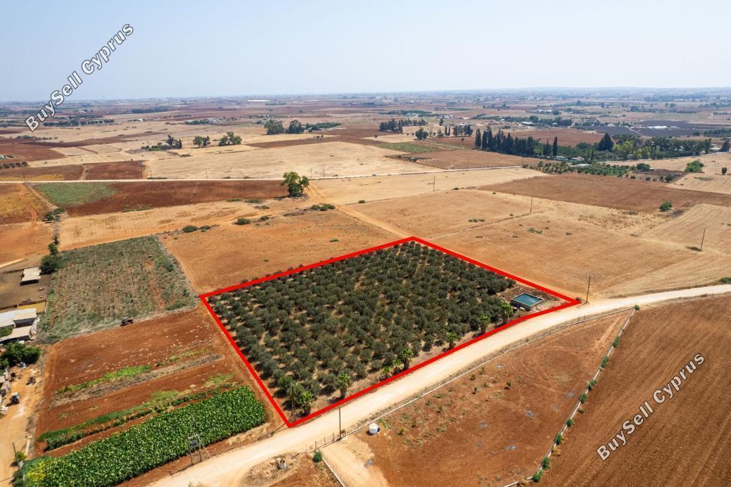 land for sale avgorou famagusta 949110 image 2655692
