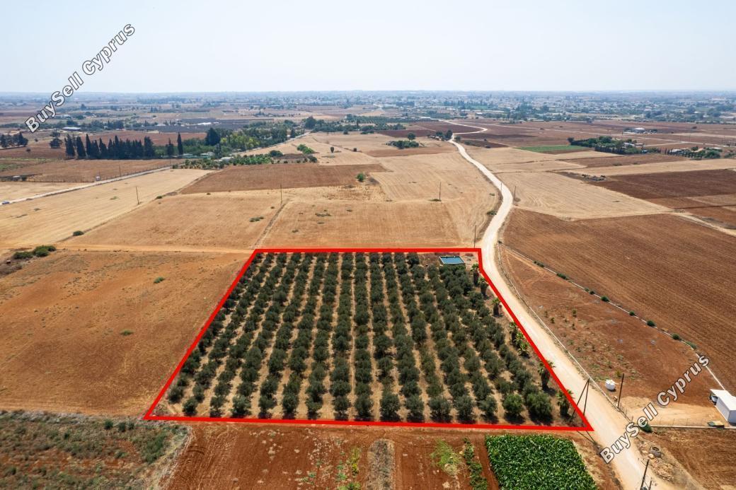 land for sale avgorou famagusta 949110 image 2655693