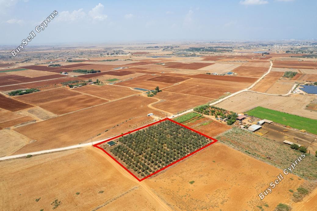 land for sale avgorou famagusta 949110 image 2655695