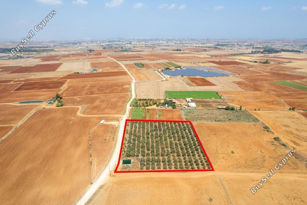 land for sale avgorou famagusta 949110 image 2655697