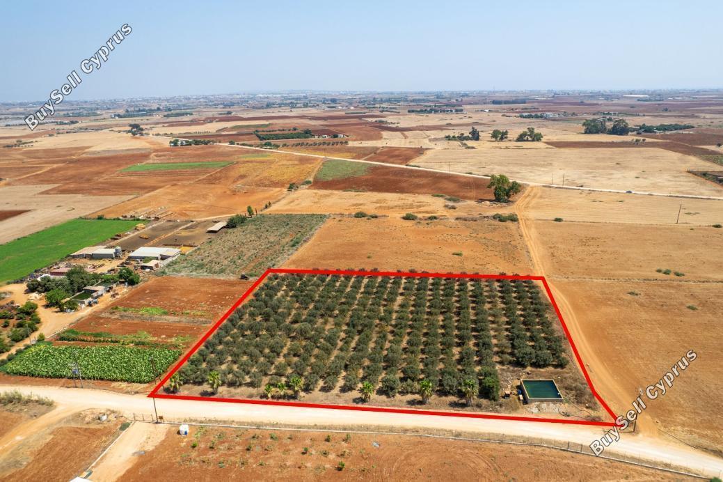 land for sale avgorou famagusta 949110 image 2655700