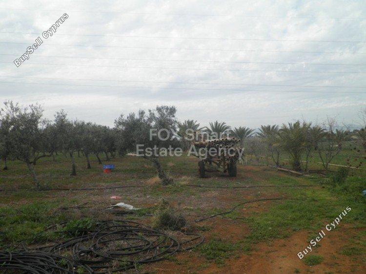 plot for sale astromeritis nicosia 1152110 image 5147309