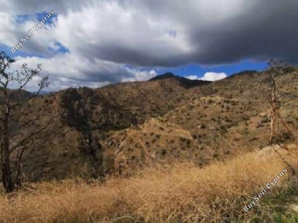 8204 SQM Land for sale in Odou, Larnaca 4502783