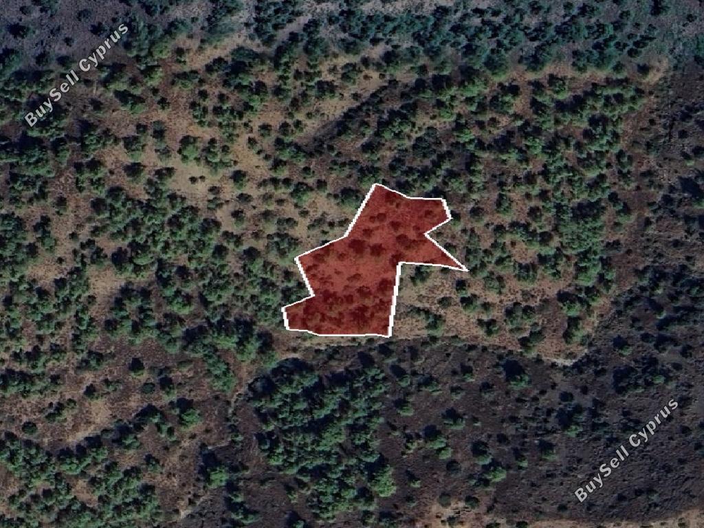 land for sale palaichori oreinis nicosia 1714210 image 4553801