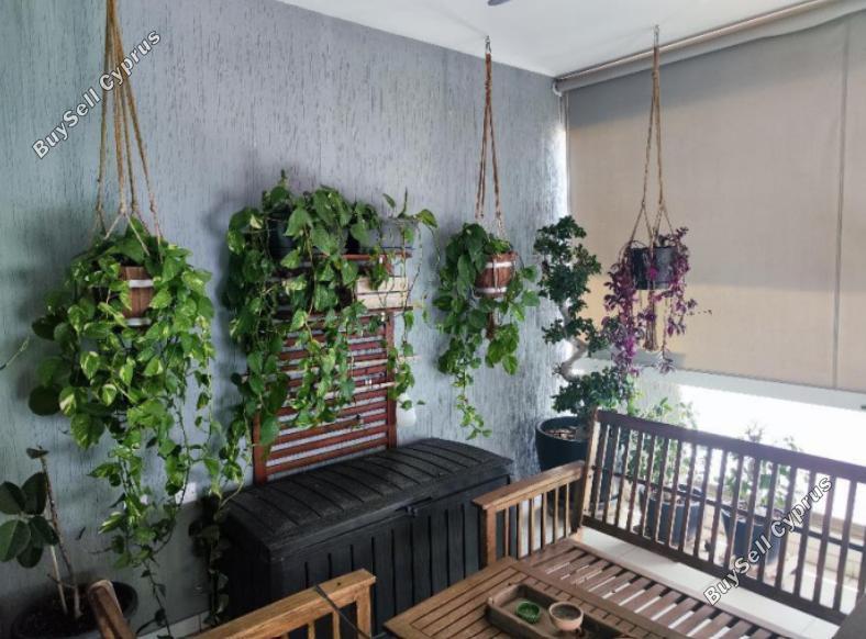 2 bedroom apartment for rent kato polemidia limassol 8791310 image 16673083