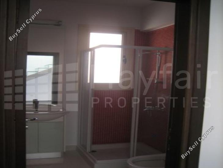 3 bedroom detached house for sale mazotos larnaca 7870410 image 11377812