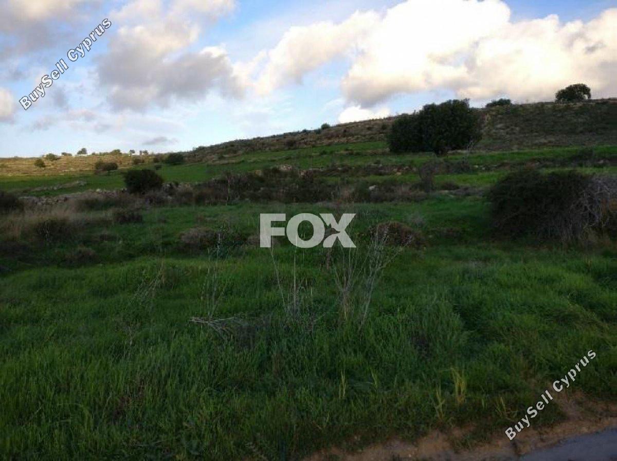 land for sale anogyra limassol 1146410 image 5537086