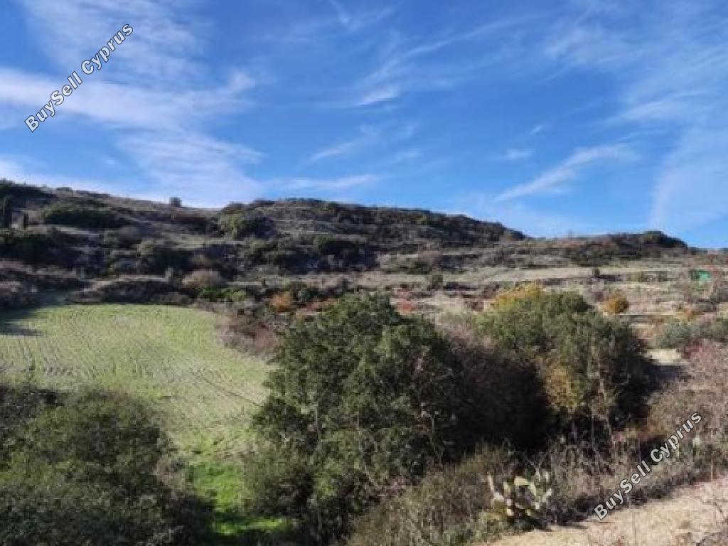 land for sale theletra paphos 1667510 image 15597384