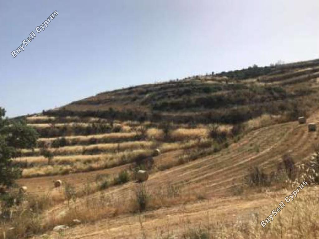 land for sale vouni limassol 944610 image 15602264
