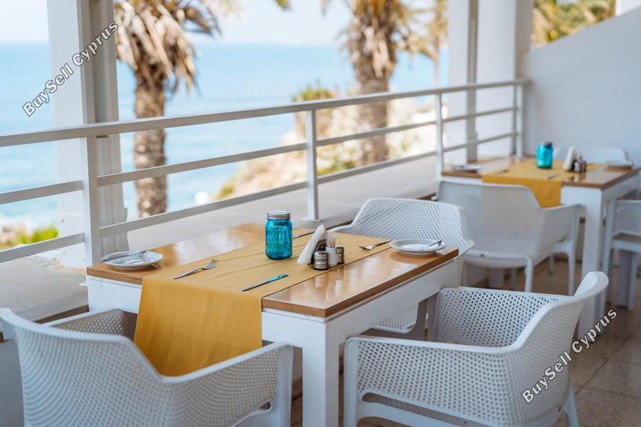 studio hotel for sale coral bay paphos 7739610 image 11751691