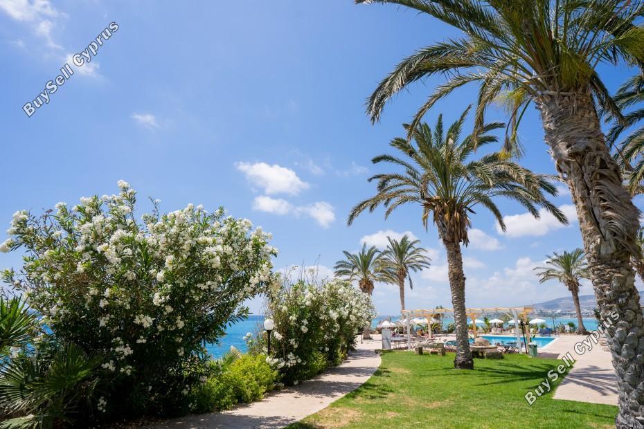 studio hotel for sale coral bay paphos 7739610 image 12169053