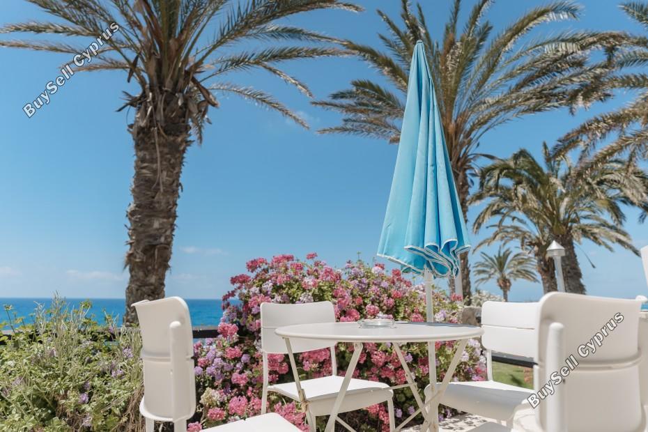 studio hotel for sale coral bay paphos 7739610 image 12575726