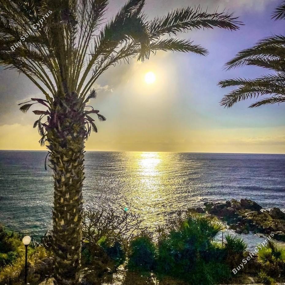 studio hotel for sale coral bay paphos 7739610 image 12575736