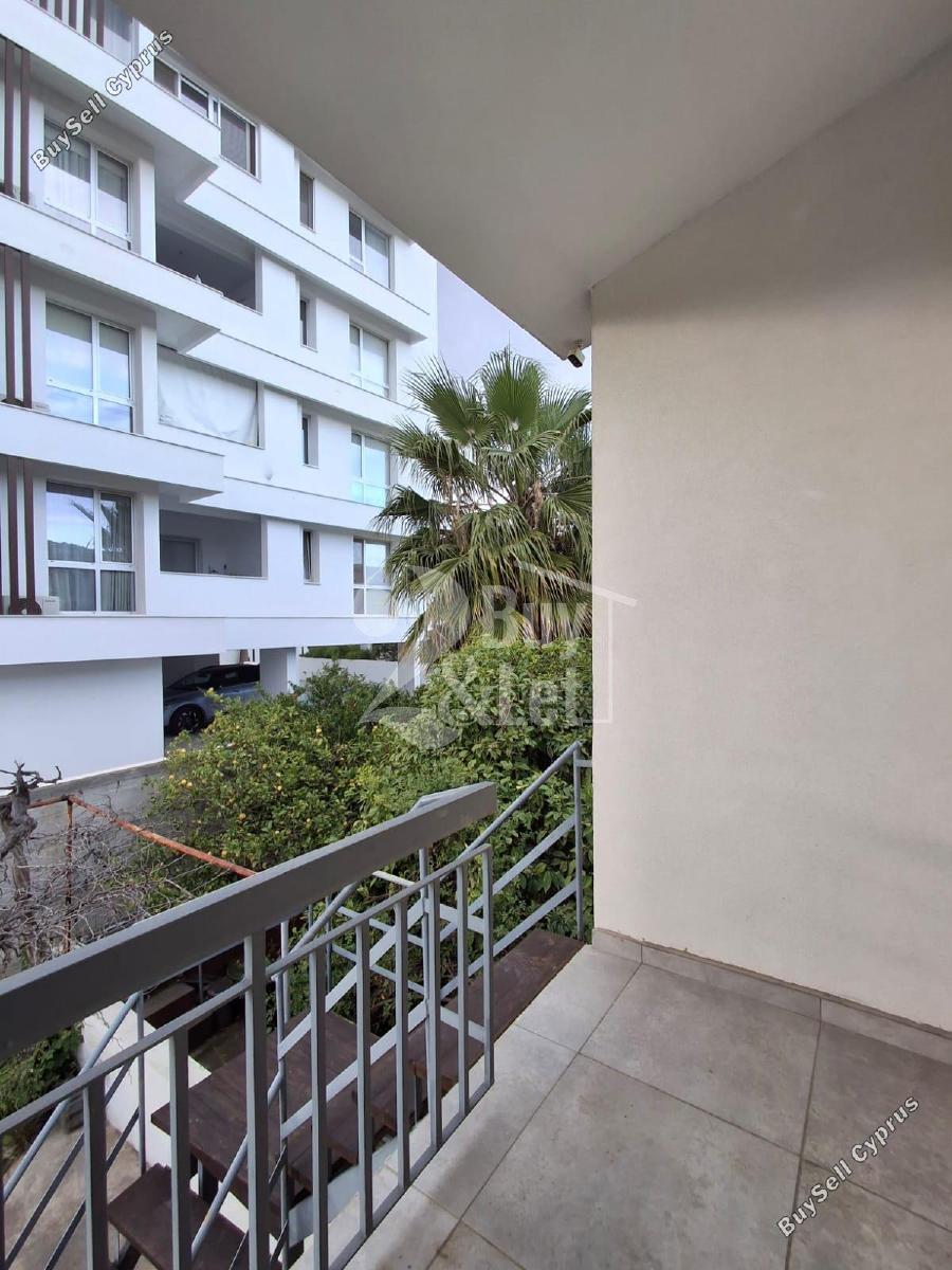 studio office for rent faneromeni larnaca 8606610 image 17280747