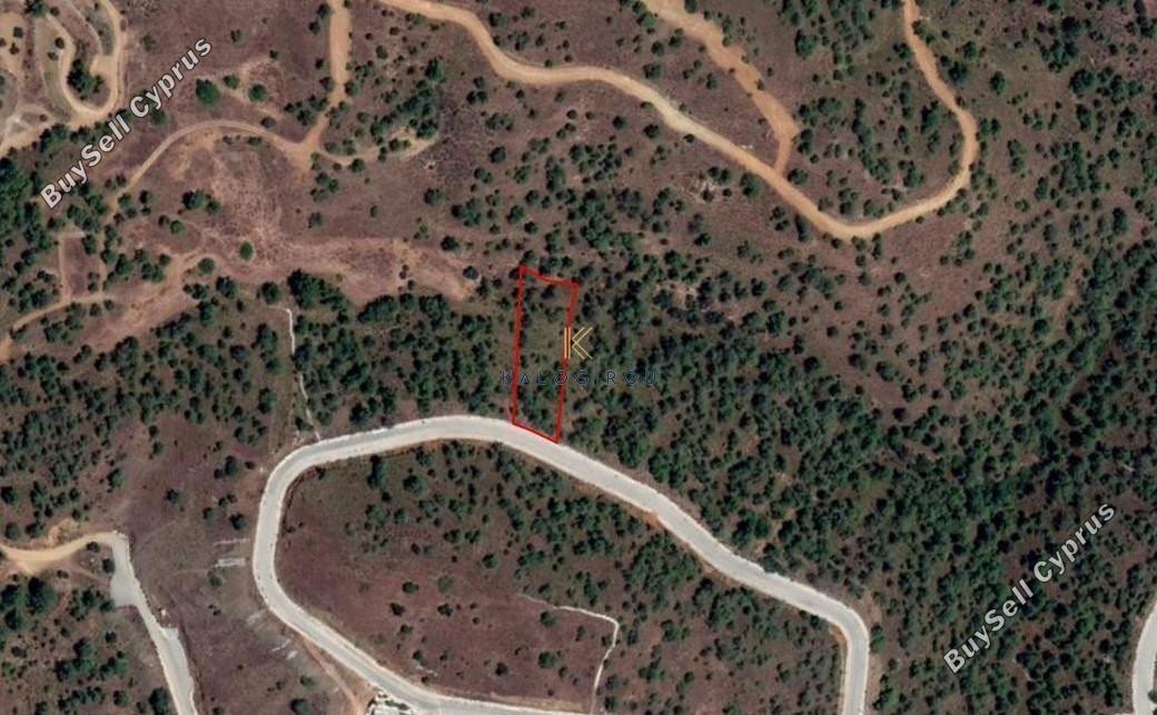 land for sale kornos larnaca 1194710 image 5569523