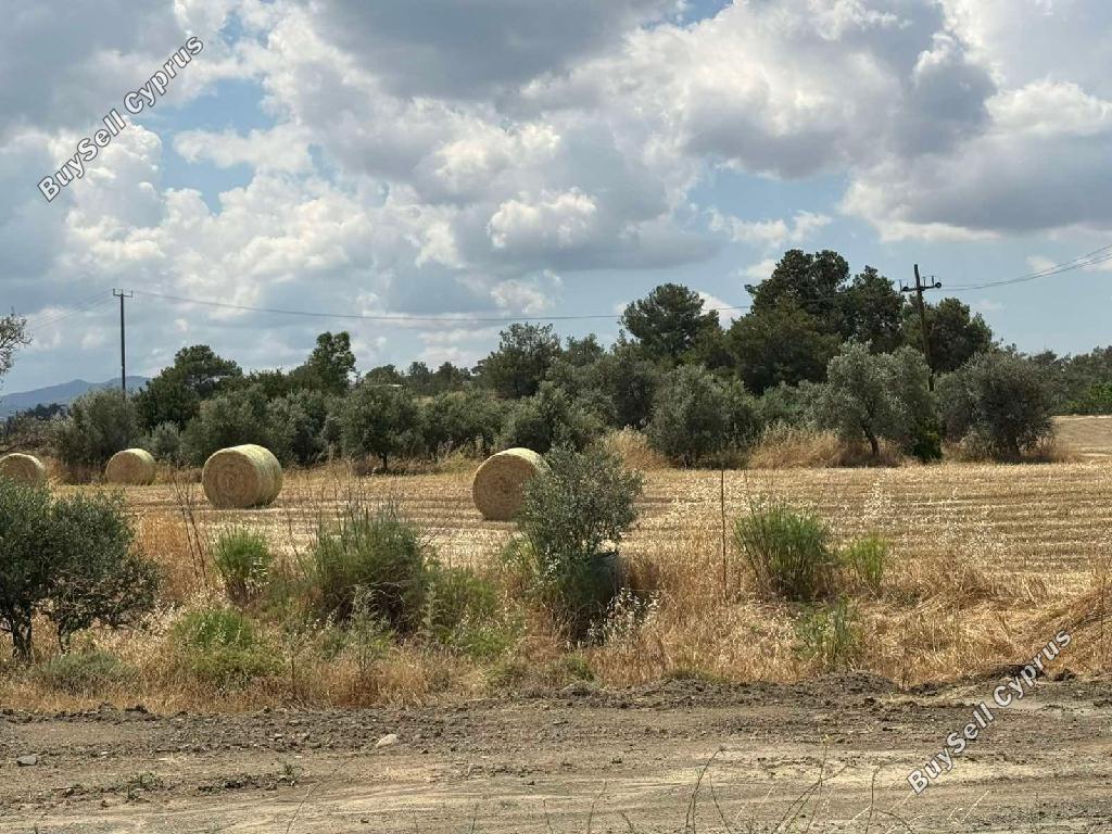 land for sale mathiatis nicosia 8710710 image 16268914