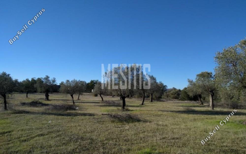 plot for sale kornos larnaca 1820710 image 10531051