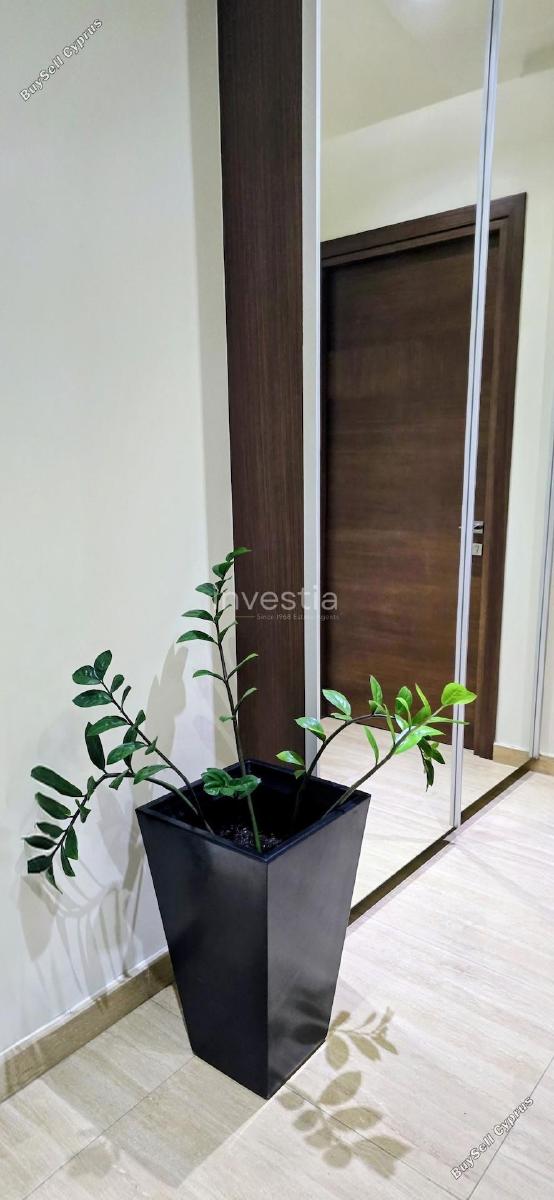 studio office for rent faneromeni larnaca 7822810 image 17405236