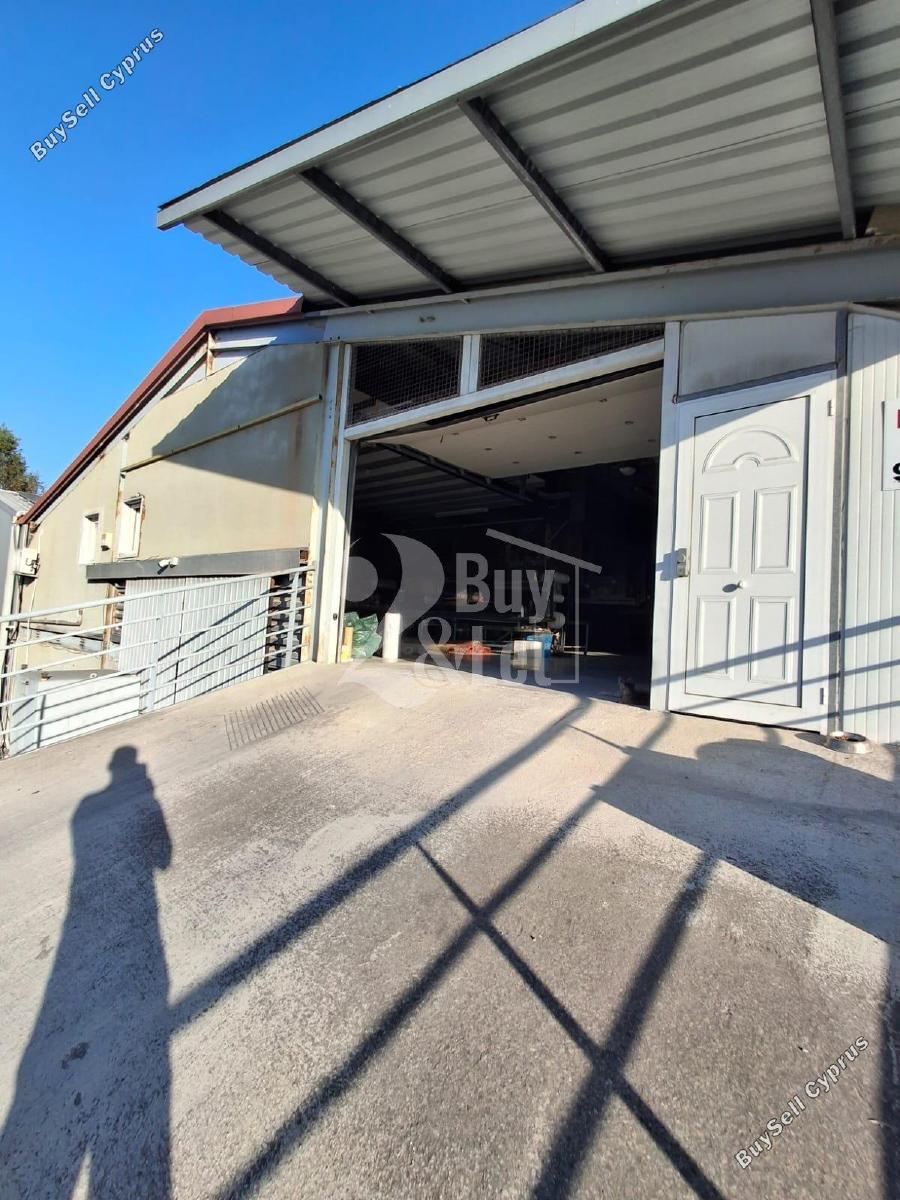 studio warehouse for rent aradippou larnaca 8772810 image 16605642