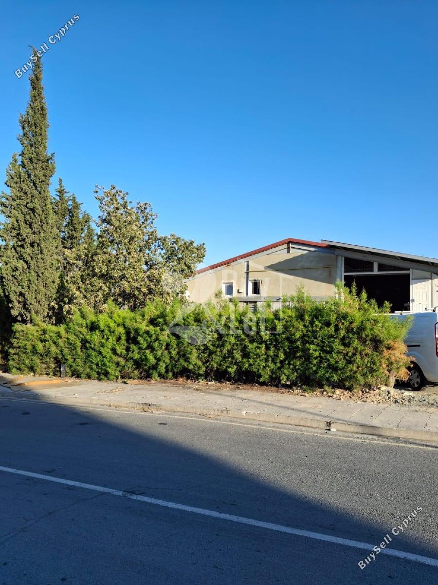 studio warehouse for rent aradippou larnaca 8772810 image 16605643