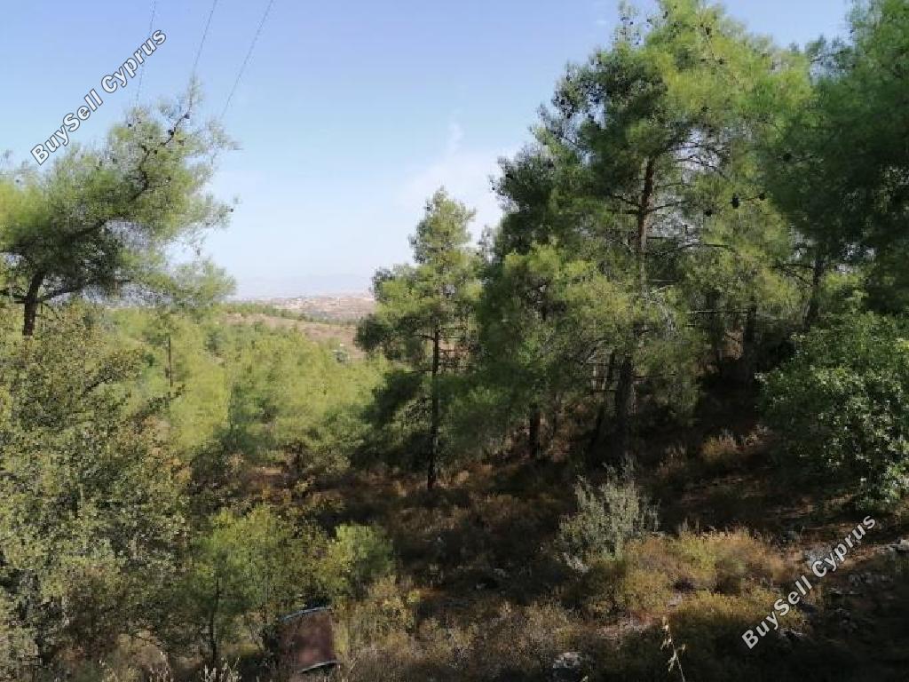 7358 SQM Land for sale in Kapedes, Nicosia 15601908