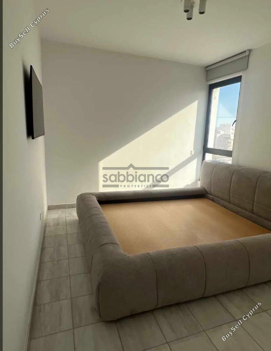 2 bedroom apartment for rent dasoupoli nicosia 8747910 image 16458253