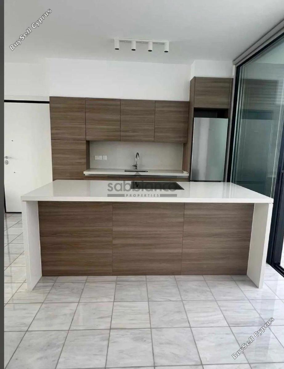 2 bedroom apartment for rent dasoupoli nicosia 8747910 image 16458263
