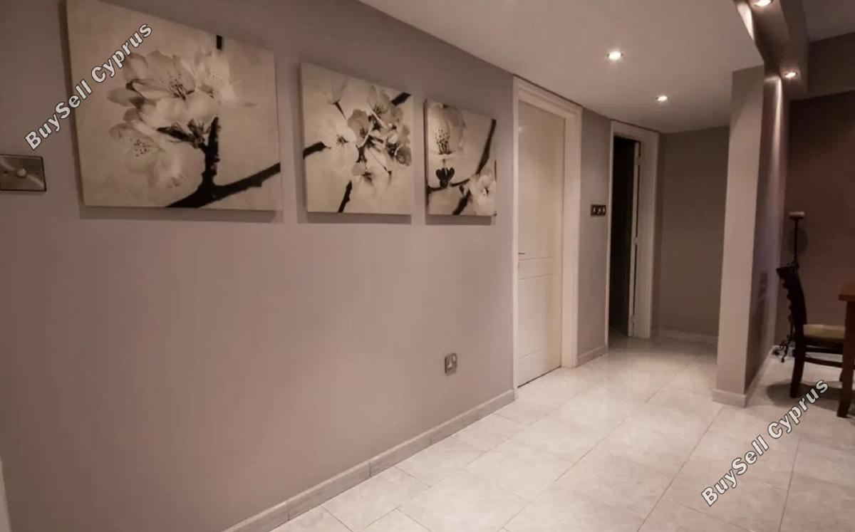 2 bedroom apartment for rent katholiki limassol 8537910 image 15542511
