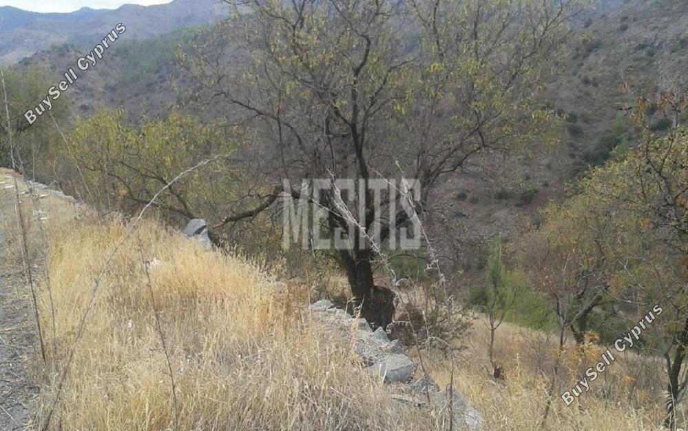 plot for sale palaichori morfou nicosia 1813910 image 12886752